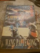 王牌特工摩萨迪