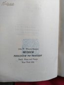 慕尼黑:悲剧的序幕