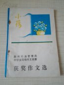 小荷  获奖作文选