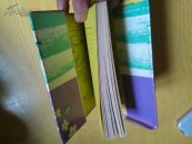 春满北国（美国山川风物四记之一）