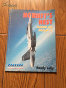 HORNET'S NEST MARINE AIR GROUP 31 《美国大黄蜂海空31集团军战机配备》