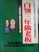 白领三年做老板:一套深藏不露的创业准备方案:一位海归派成功人士专为中国白领量身设计