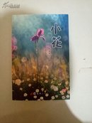 小花 傅家驹