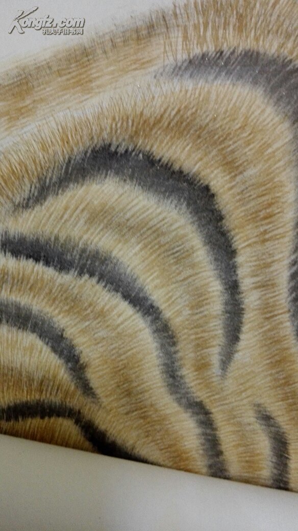 秦敬斌，长江书画院常务理事——工笔下山虎（保真）