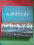 沈阳地区野生鸟类 《12开精装》 《 东北林业大学出版社》