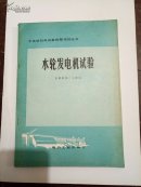 水电站机电设备调整试验丛书 水轮发电机试验