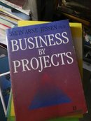 BUSINESS BY PROJECTS