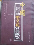 中国新时期地方文化发展概览 (上下)