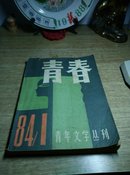 青春(青年文学丛刊)