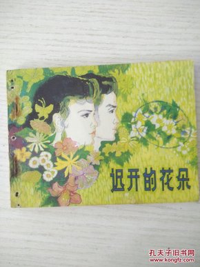 连环画：迟开的花朵