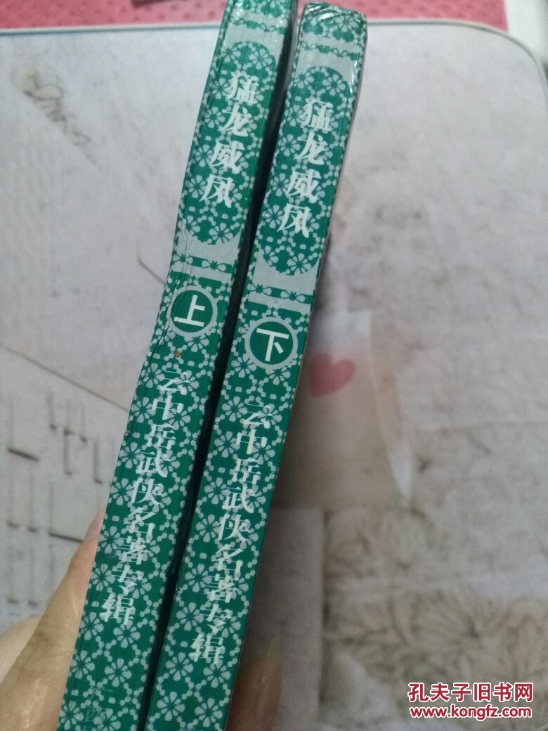 猛龙威风（上下）