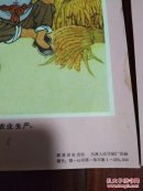 农村饮水卫生宣传画――12张一套