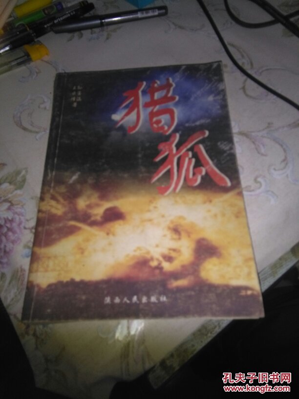 猎狐:反间谍电视连续剧