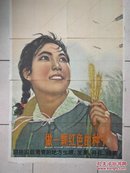 1964年宣传画【做一颗红色的种子到祖国需要的地方生根发芽结果】2开（剪成8份了）2开宣传画 上山下乡题材：做一颗红色的种子 到祖国最需要的地方生根、发芽、开花、结果！ 1964年出版