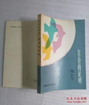 青春的证明（报告文学）