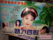 超级名模火瀑泳装(魅力四射).十张光盘