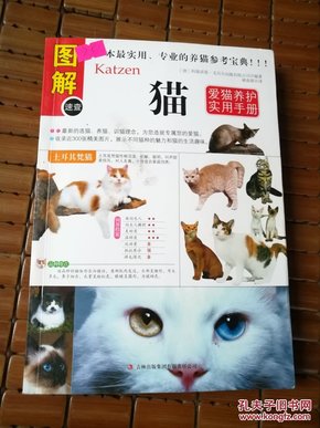 猫：爱猫养护实用手册