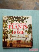 PLANTS AT HOME