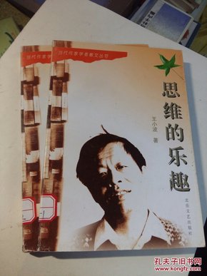 思维的乐趣