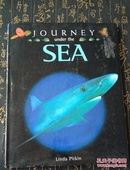 JOURNEY UNDER THE SEA