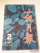 小说月报1995年第2期