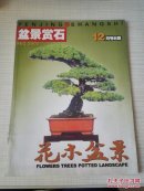 花木盆景盆景赏石1984年 12月号B版 总232期