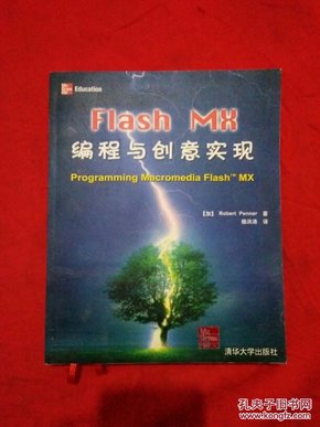 Flash MX编程与创意实现