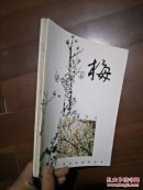 中国画技法---梅 兰 竹 菊（4本合售）