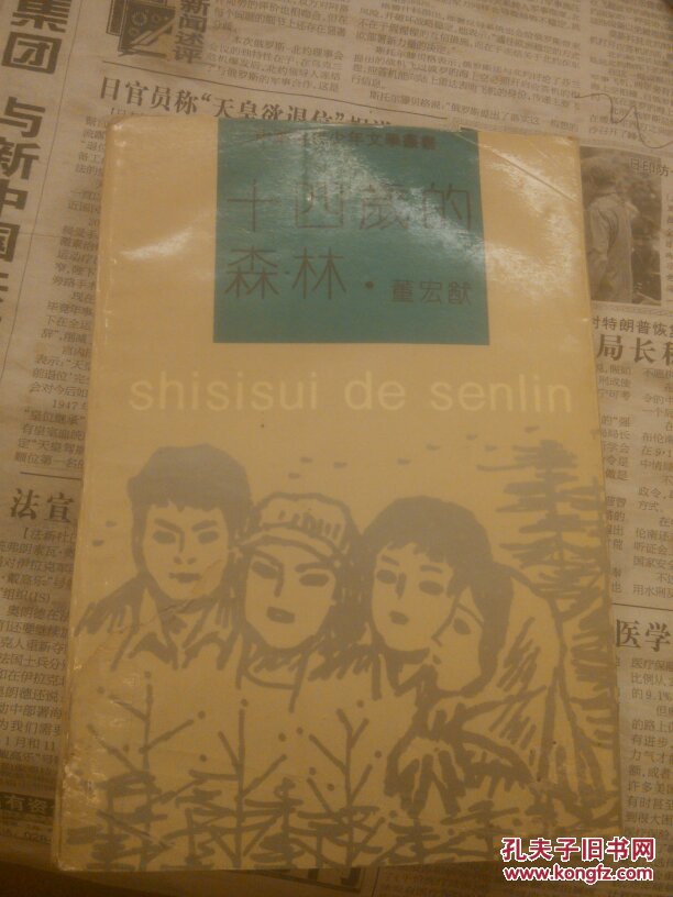 十四岁的森林