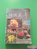 北京花卉  续编  一版一印【B4】