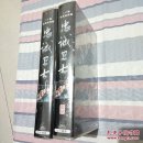 二十集电视连续剧·忠诚卫士VCD【二十碟装】加赠品·两套【未开封】