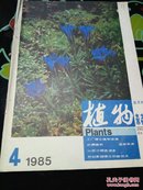 植物杂志 1985年第4期
