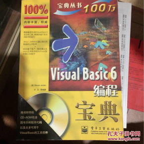 Visual Basic 6编程宝典——计算机宝典丛书