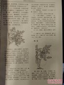 植物名实图考校释