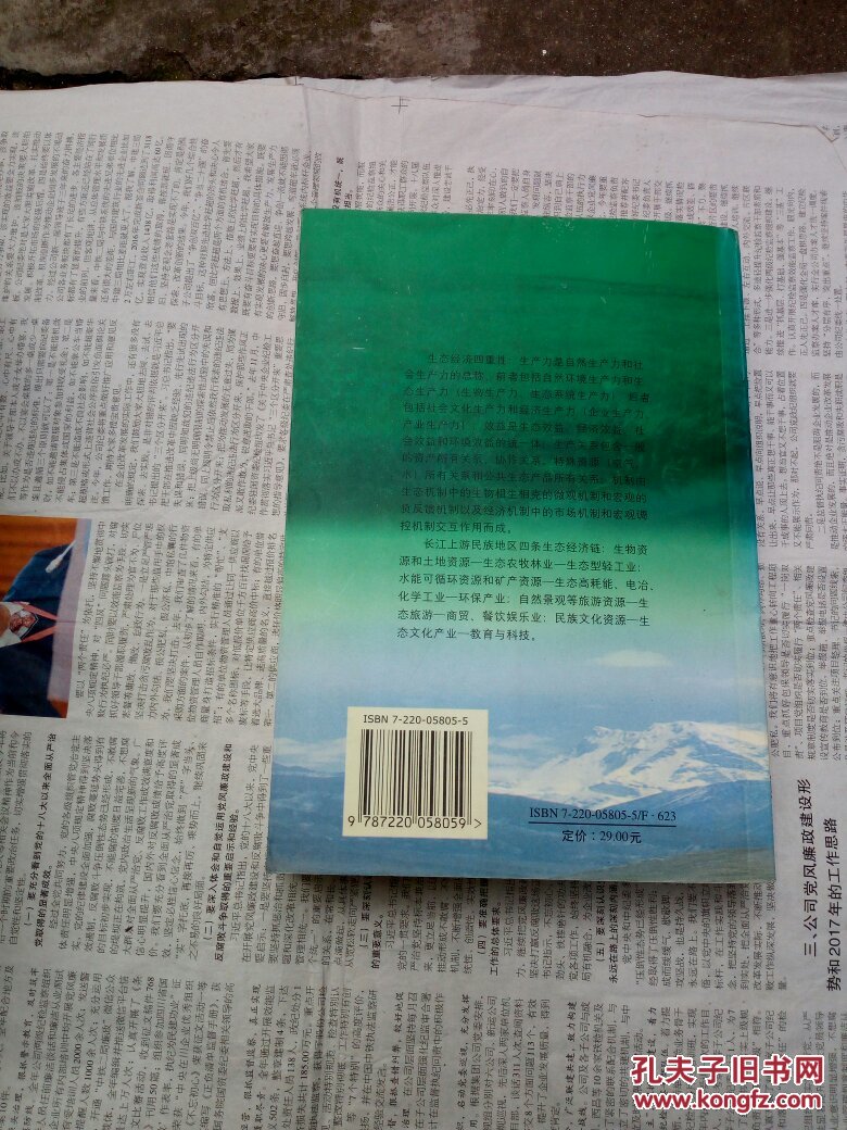 长江上游民族地区生态经济研究（一版一印，书内整洁无勾划）