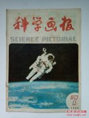 科学画报1984年第7期