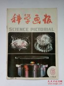 科学画报1984年第6期