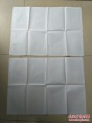 电影海报【 别墅灾星2开2张+电影宣传资料袋】