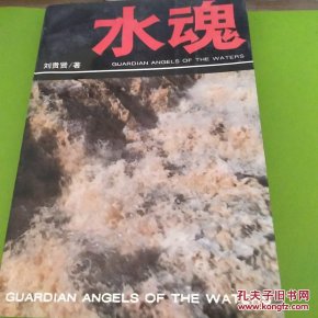 水魂:长篇报告文学