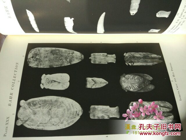 Archaic Chinese Jades Collected In China 芝加哥菲尔德自然博物馆 中国古代玉器