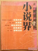 小说界2006年长篇小说增刊