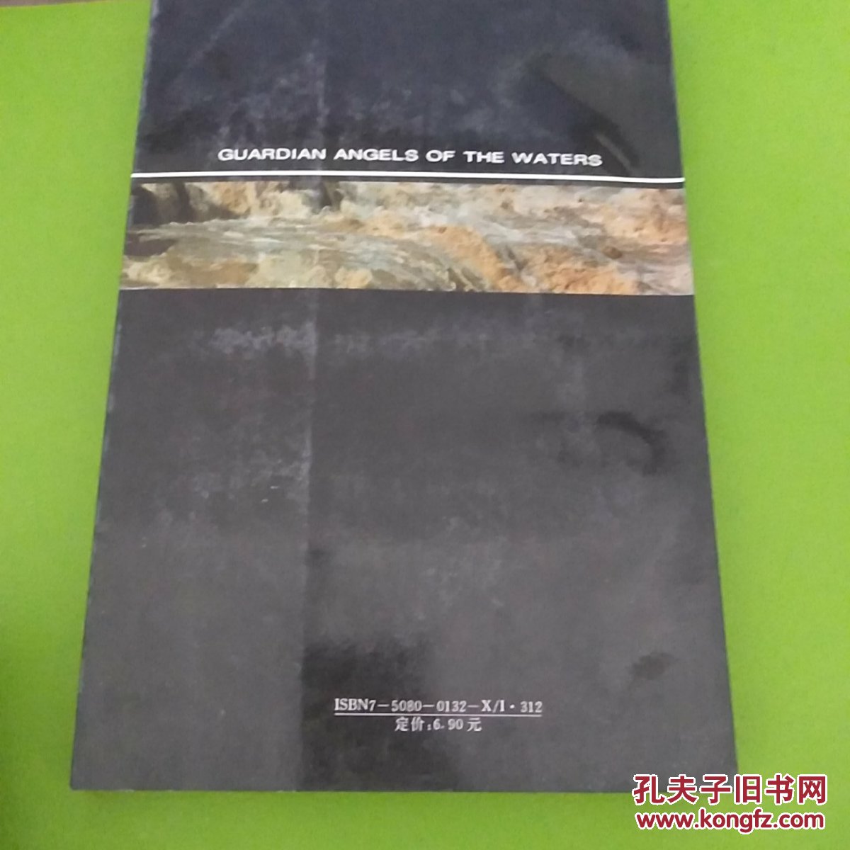 水魂:长篇报告文学