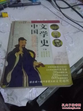 中国文学史:一部博物馆式的中国文学史