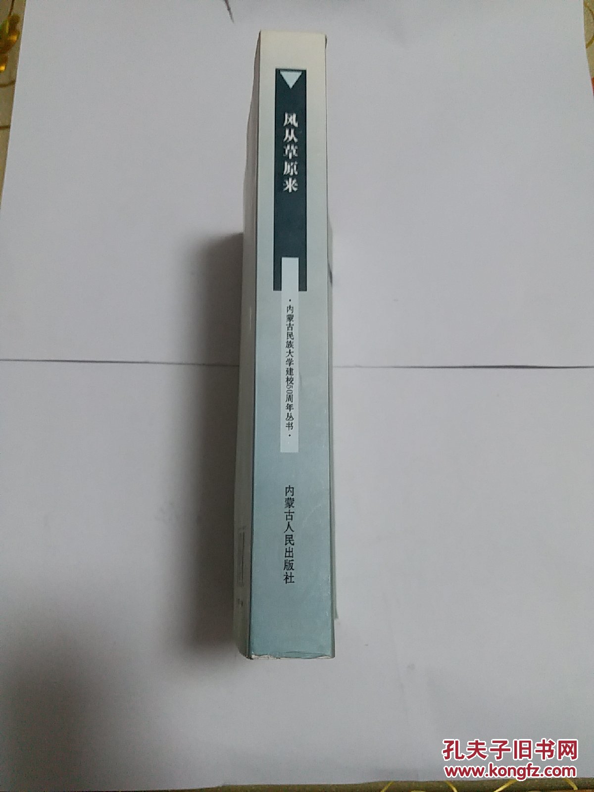 风从草原来1