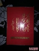 毛主席手书选集〔献给中国共产党第九次代表大会〕红塑封皮