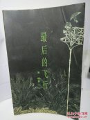 最后的飞行
