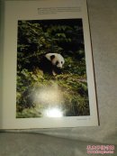 Elements of CHINA  WATER WOOD FIRE EARTH GOLD