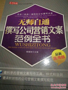 无师自通撰写公司营销文案范例全书（最新实用版）