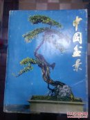 中国盆景