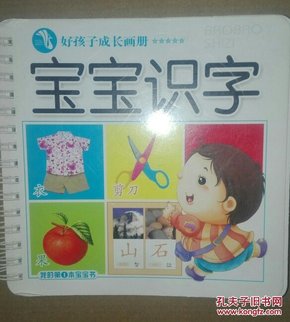 好孩子成长画册 宝宝识字 我的第一本宝宝书 带拼音 全彩图 48开